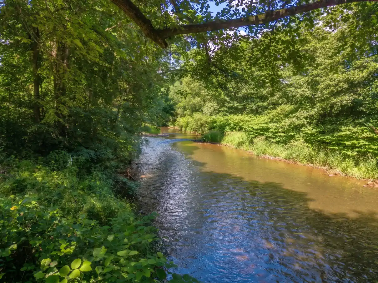 Výhled na řeku Labe